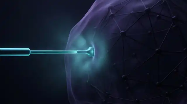 A probe reaching out and stopping dead against a taut membrane, the lattice of nodes behind it untouched and unlit.